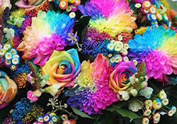 Крашенные цветы