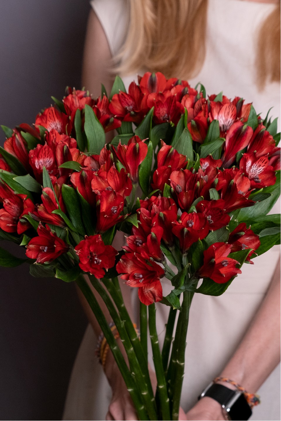 Бордовая альстромерия