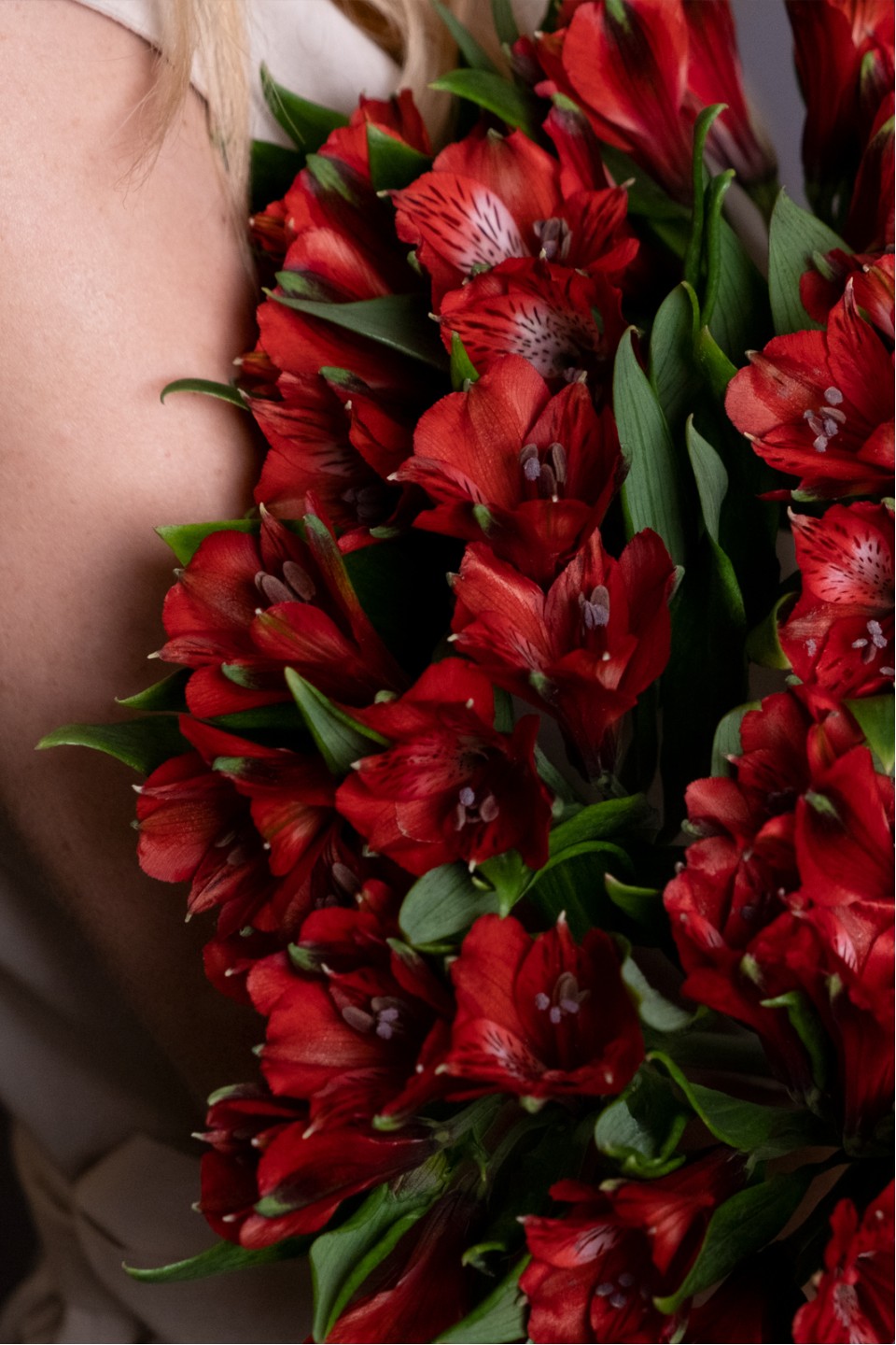 Бордовая альстромерия - с добавлением зелени