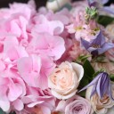 Коробочка Звездопад - быстрая доставка в Минске - миниатюра