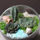 Садик Источник Вдохновения - с добавлением зелени - миниатюра 