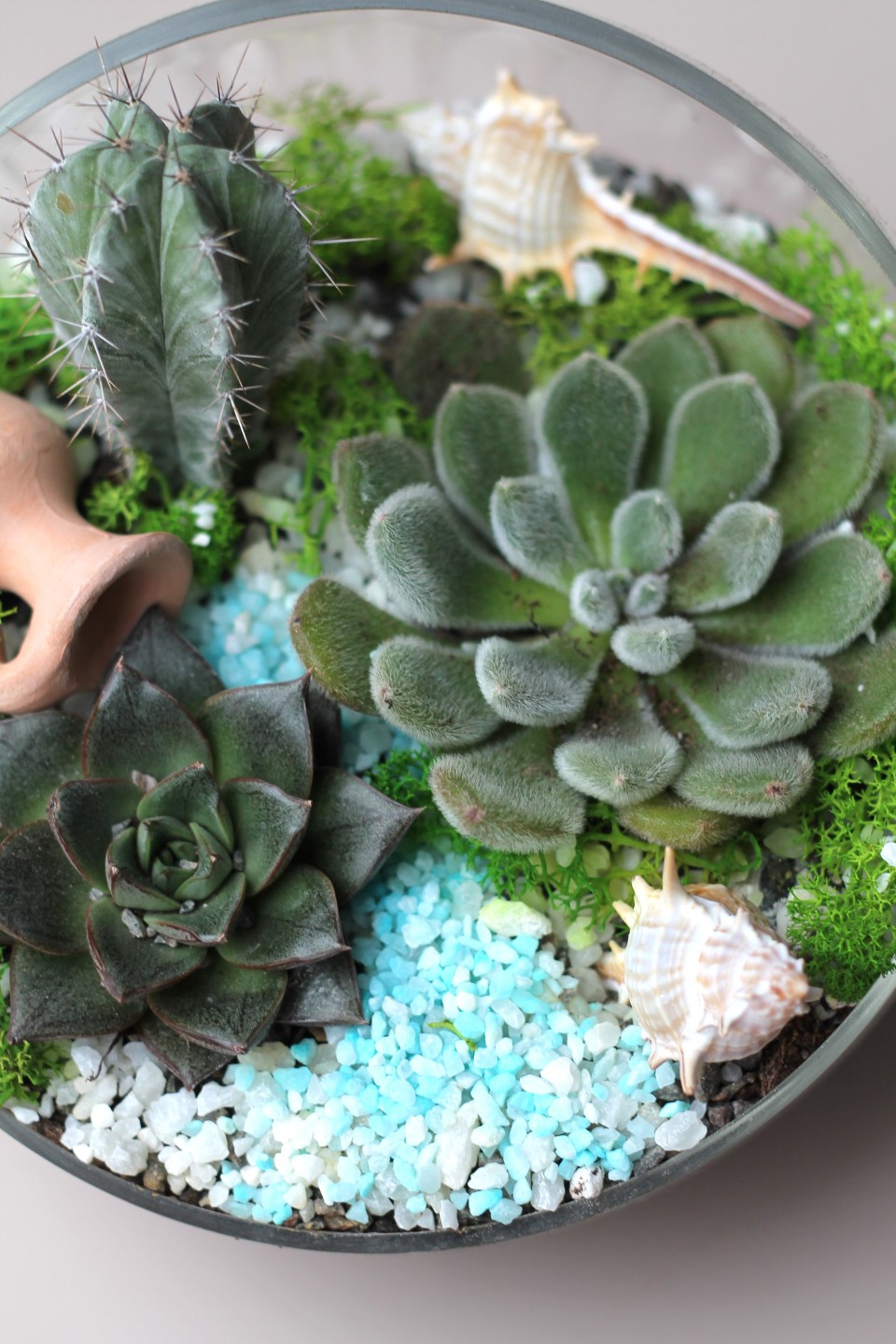 Садик Источник Вдохновения - быстрая доставка в Минске