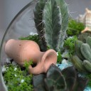 Садик Источник Вдохновения - для женщины/молодой пары - миниатюра