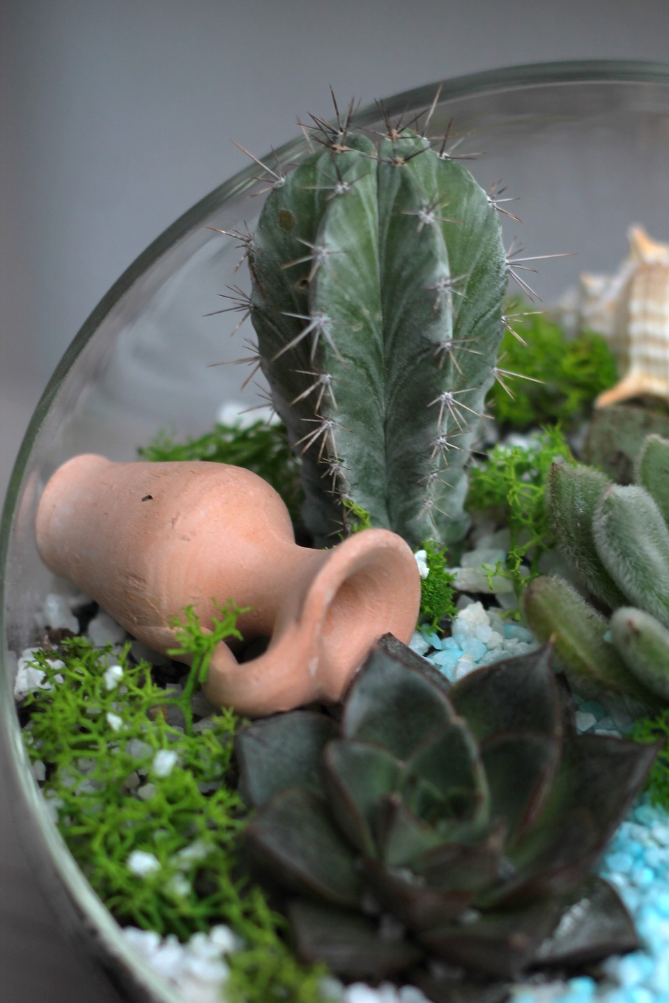 Садик Источник Вдохновения - для женщины/молодой пары