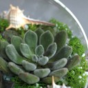 Садик Источник Вдохновения - миниатюра 7