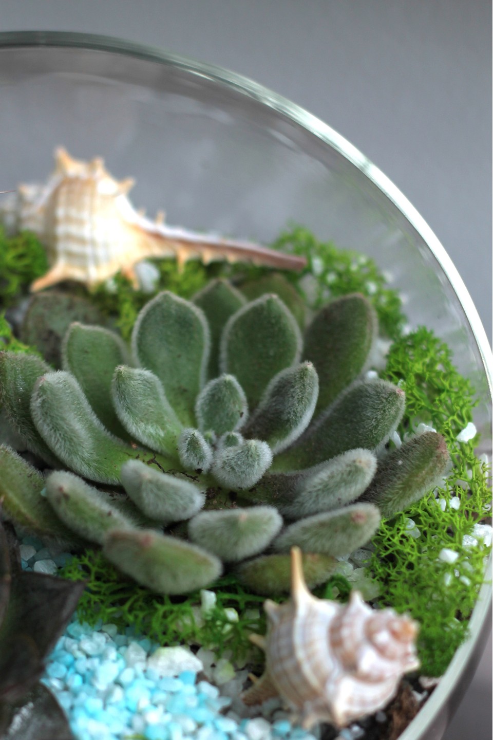 Садик Источник Вдохновения 7