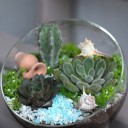 Садик Источник Вдохновения - миниатюра 8