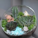 Садик Источник Вдохновения - миниатюра 10