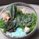 Садик Источник Вдохновения - миниатюра