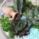 Садик Источник Вдохновения - с доставкой по Минску - миниатюра