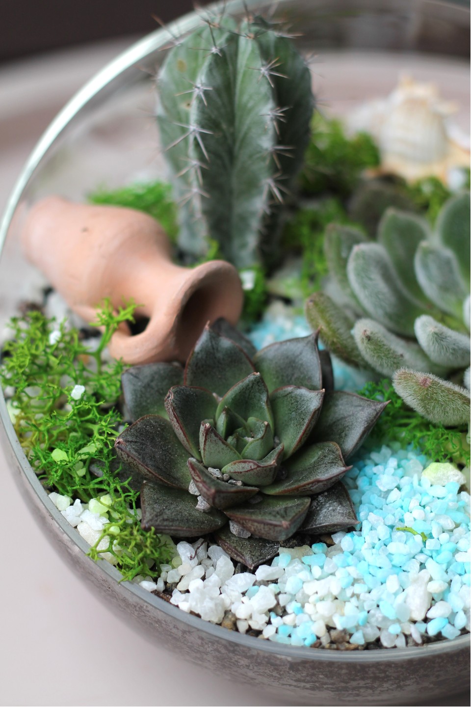 Садик Источник Вдохновения - с доставкой по Минску