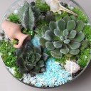 Садик Источник Вдохновения - подарочное оформление - миниатюра