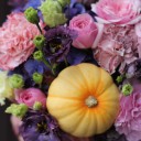 Коробочка Бруно - с доставкой по Минску - миниатюра