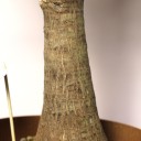 Юкка Элефантис 130-23 - подарочное оформление - миниатюра