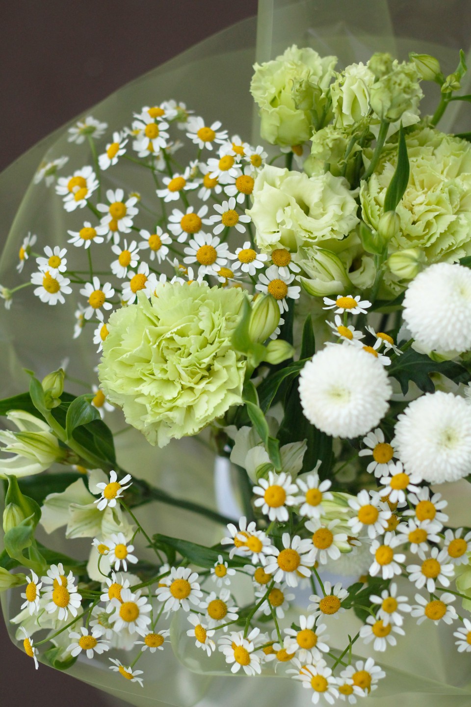 Букет с зеленой гвоздикой Лайм - с добавлением зелени