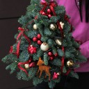 Новогодняя ёлочка Сказка - миниатюра