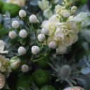 Букет с зеленой кустовой хризантемой Изумрудный Луг - с доставкой по Минску - миниатюра