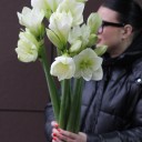 Амариллис белый - для женщины/молодой пары - миниатюра