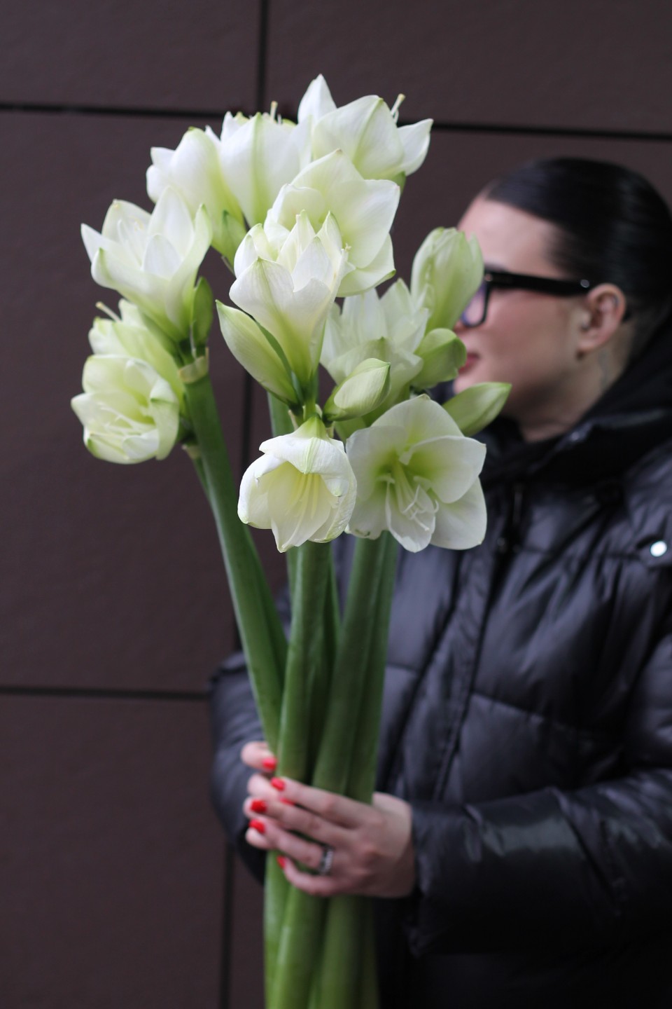 Амариллис белый - для женщины/молодой пары