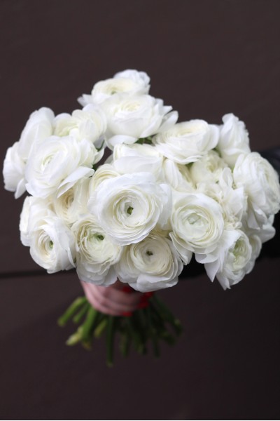 Ранункулюс белый