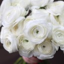 Ранункулюс белый - для женщины/молодой пары - миниатюра