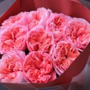 Букет из пионовидной розы Каталана - с доставкой по Минску - миниатюра