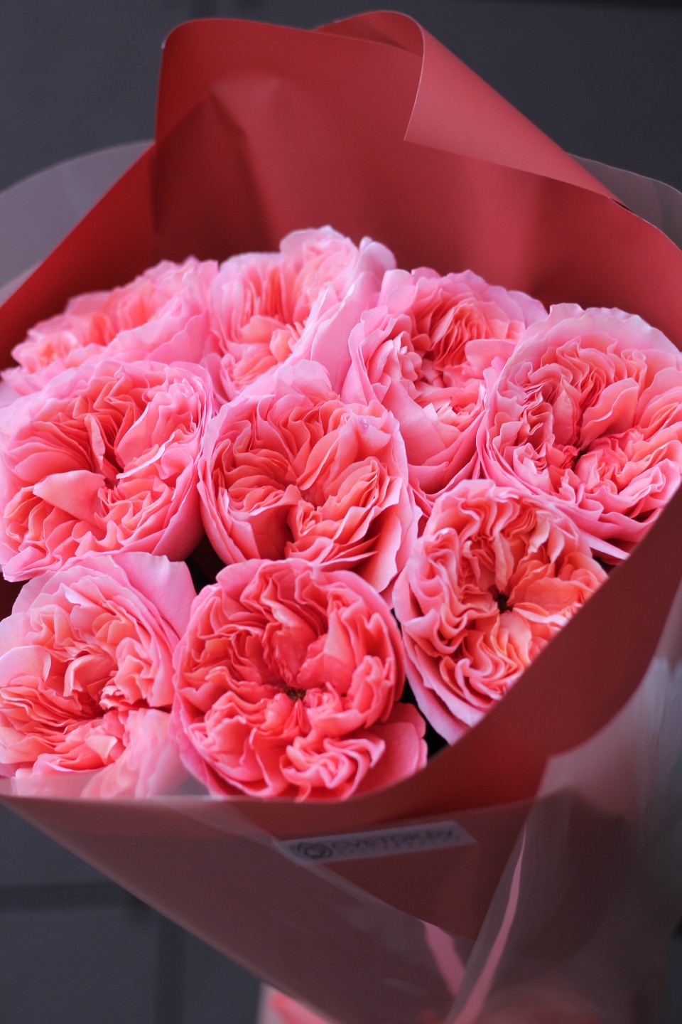 Букет из пионовидной розы Каталана - с доставкой по Минску