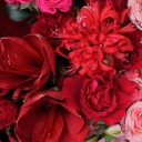 Букет с красным Амариллисом Аромат Любви - с добавлением зелени - миниатюра 