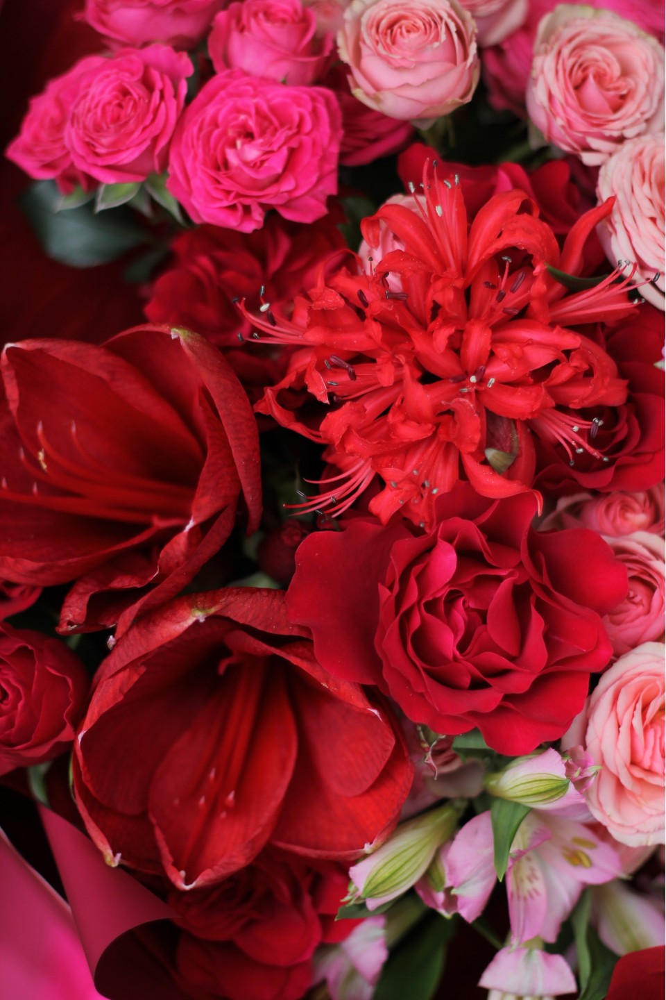 Букет с красным Амариллисом Аромат Любви - с добавлением зелени