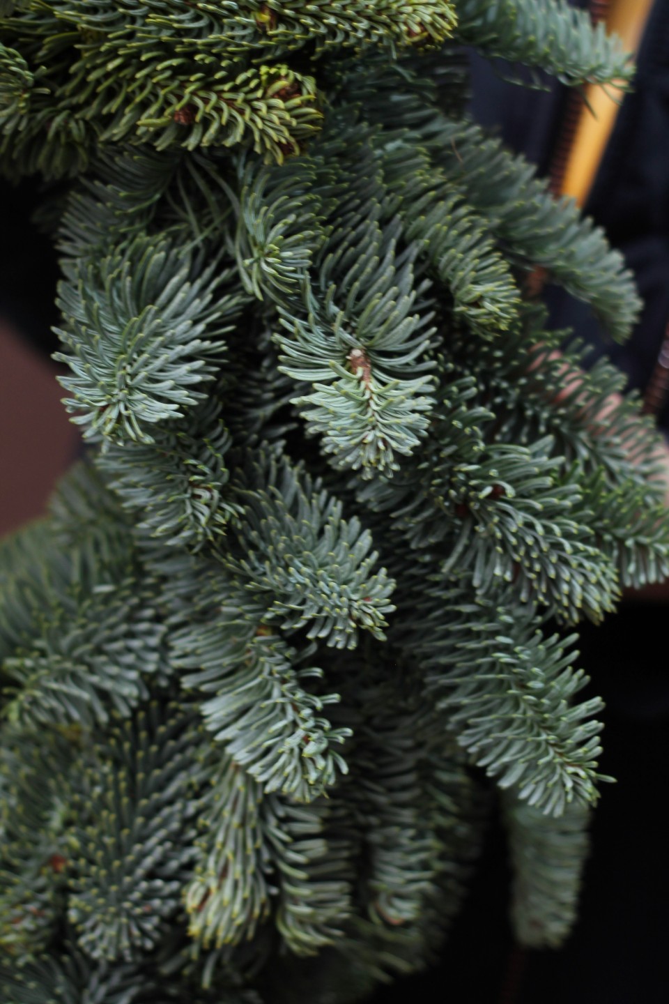 Новогодний венок из Нобилиса - с доставкой по Минску