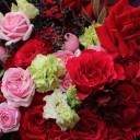 Букет с красной французской розой Скайлет - с добавлением зелени - миниатюра 