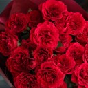 Букет Водопад Алых Роз - с доставкой по Минску - миниатюра