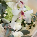 Букет с орхидеей цимбидиум Нежный Мираж - с доставкой по Минску - миниатюра