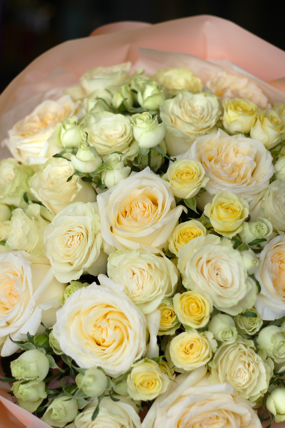 Букет с розой Сны с твоим шепотом - с добавлением зелени