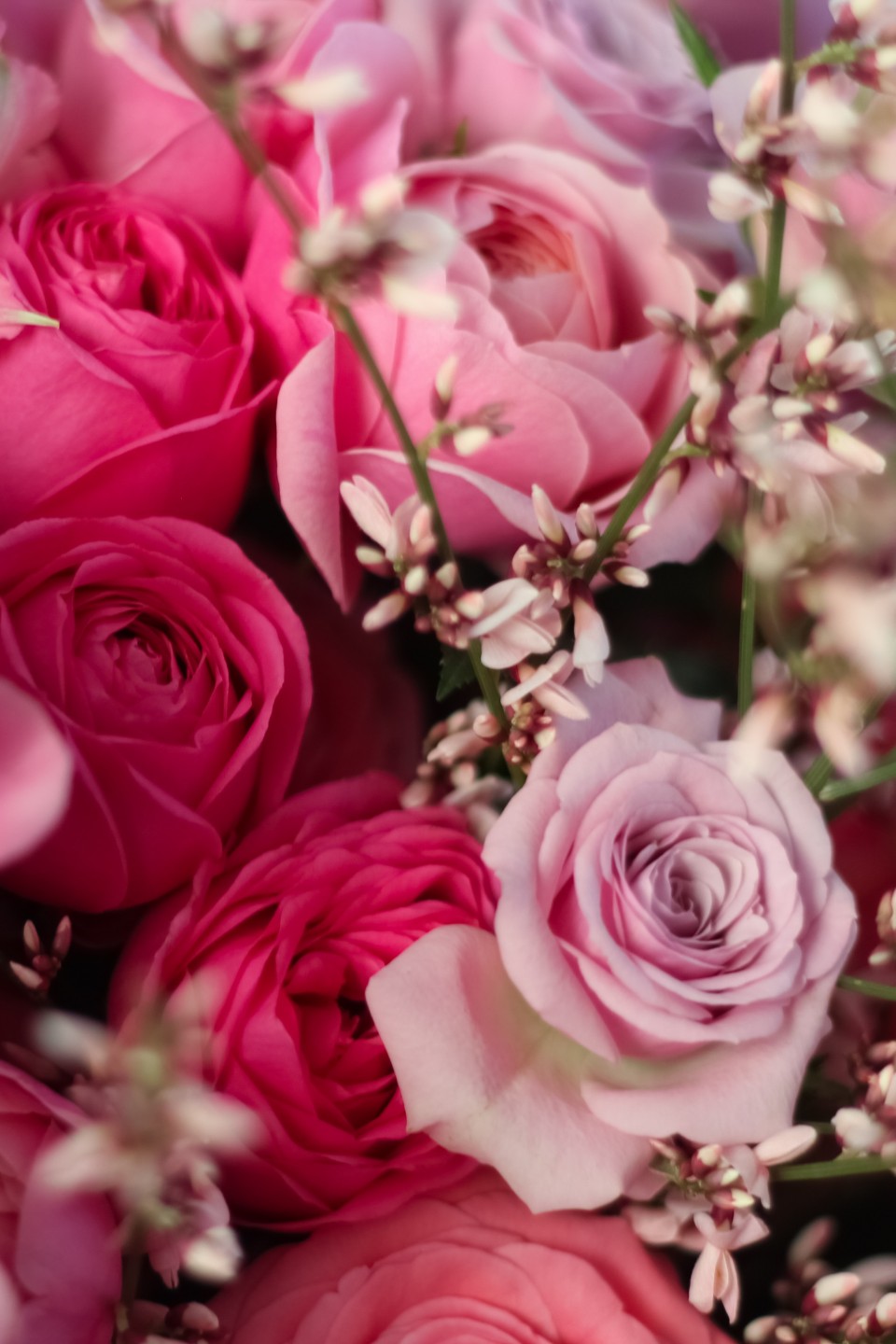 Букет с пионовидными розами Сияющая Любовь - быстрая доставка в Минске