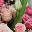 Коробка с тюльпанами Страстное Признание - с доставкой по Минску - миниатюра