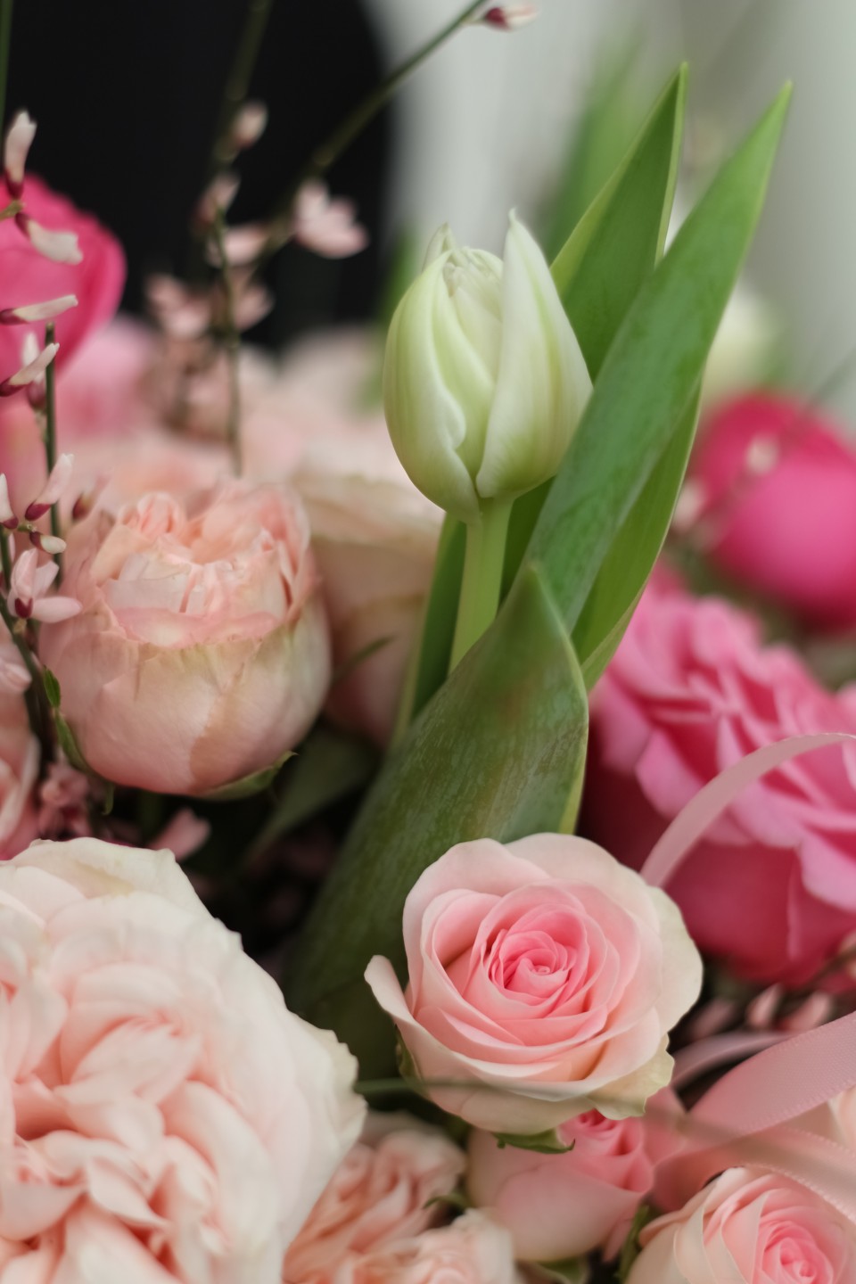 Коробка с тюльпанами Страстное Признание - с доставкой по Минску