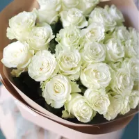 Белые розы Белые розы