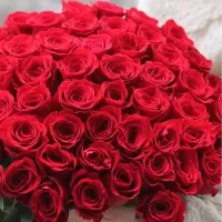 Букеты из 51 розы Букеты из 51 розы