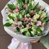 Букеты из альстромерий Букеты из альстромерий