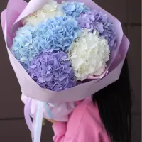 Букеты из гортензий Букеты из гортензий