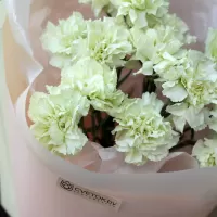 Букеты из гвоздик Букеты из гвоздик