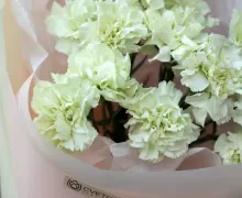 Букеты из гвоздик