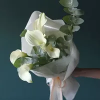 Букеты из калл