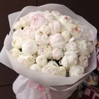 Букеты пионов Букеты пионов