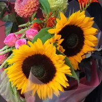 Букеты из подсолнухов Букеты из подсолнухов