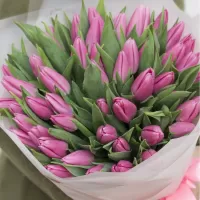 Букеты из тюльпанов Букеты из тюльпанов