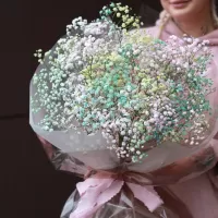 Букеты из гипсофилы Букеты из гипсофилы