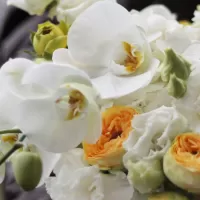 Букеты из орхидей Букеты из орхидей