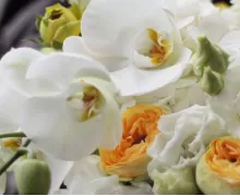 Букеты из орхидей